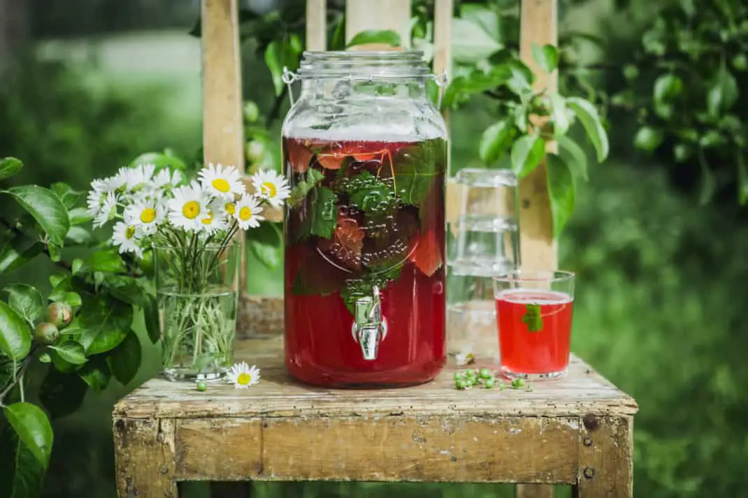 saft och lemonad saft och lemonad